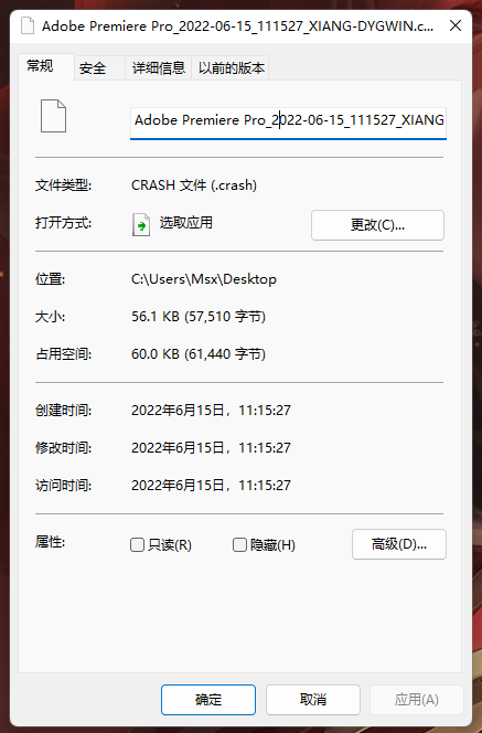 打开PR2019时生成的错误文件